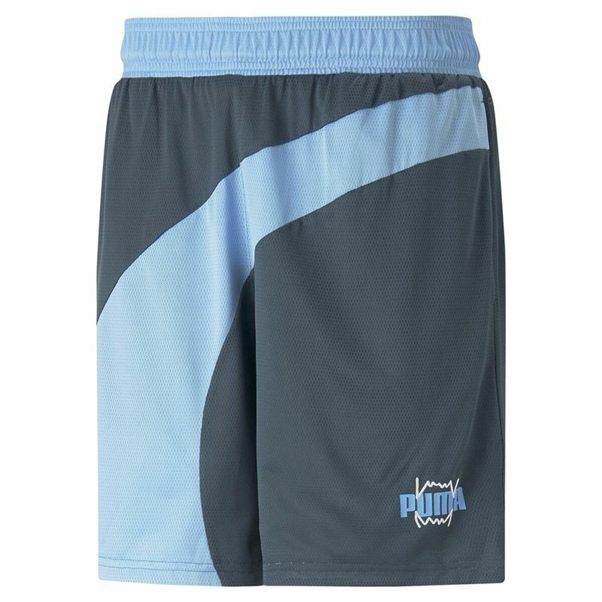 Men's Basketball Shorts Puma Flare  Blue L