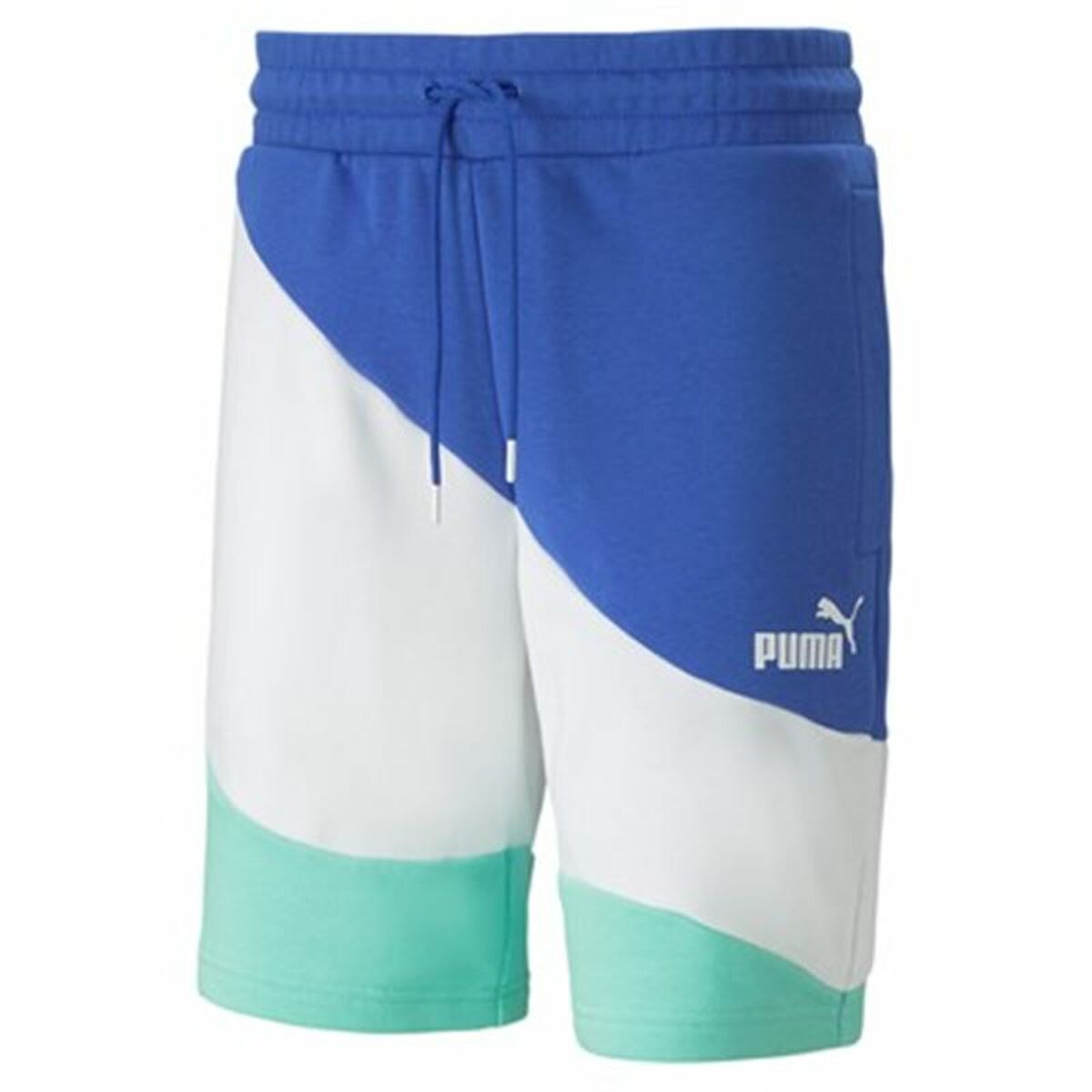 Men's Sports Shorts Puma Power Cat Multicolour L